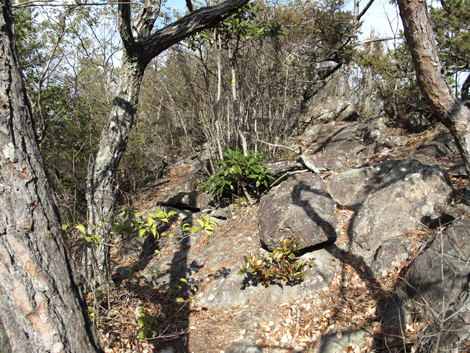 20140103hike (254)